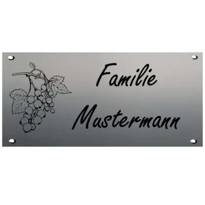 Gravur Klingelschild aus Edelstahl Maße: 170x80 mm 4 Bohrungen
