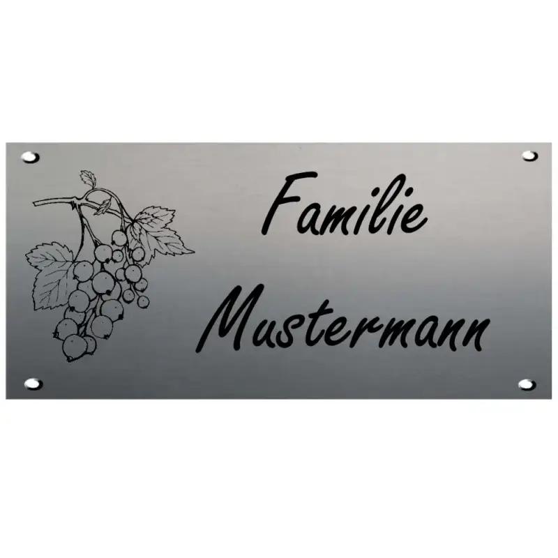 Gravur Klingelschild aus Edelstahl Maße: 170x80 mm 4 Bohrungen
