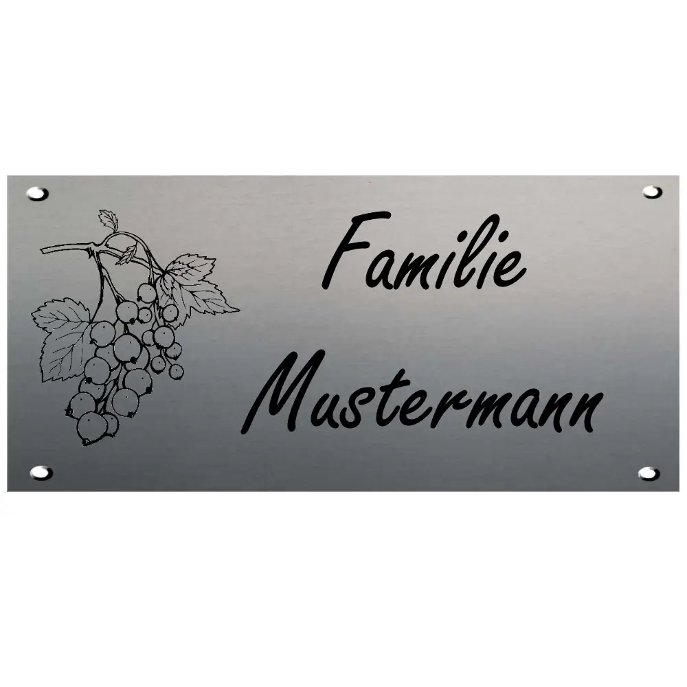 Gravur Klingelschild aus Edelstahl Maße: 170x80 mm 4 Bohrungen