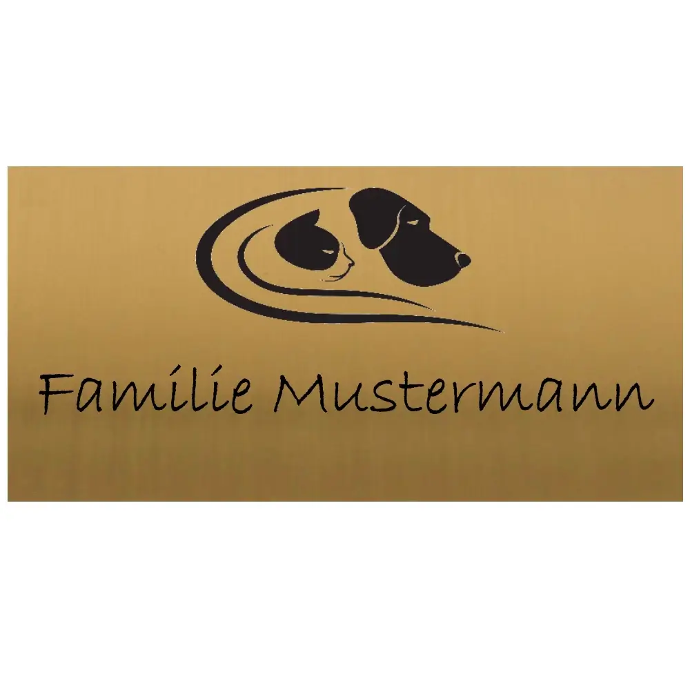 Klingelschild Messing - Farben aus Edelstahl Maße: 100x50 mm