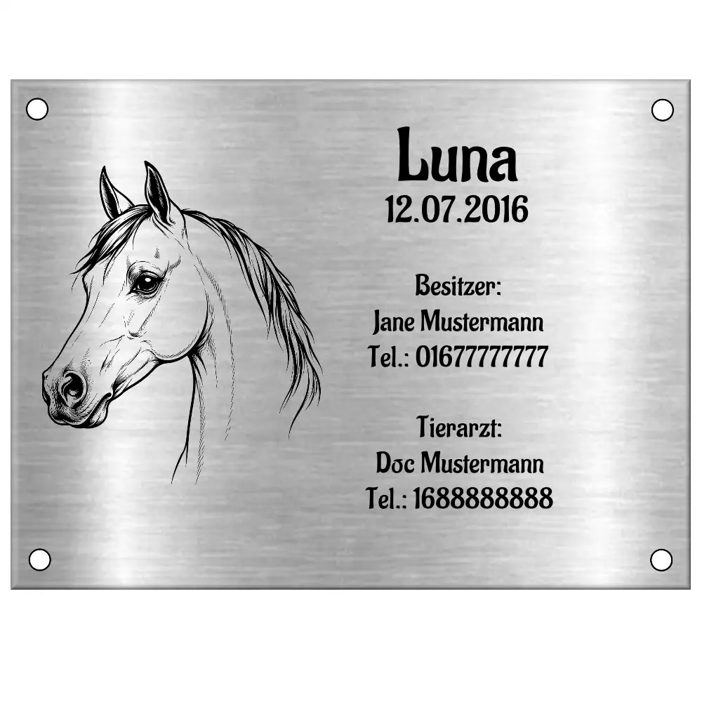 Boxenschild für Pferde aus Edelstahl mit Lasergravur Maße: 200x150 mm mit 4 Bohrungen