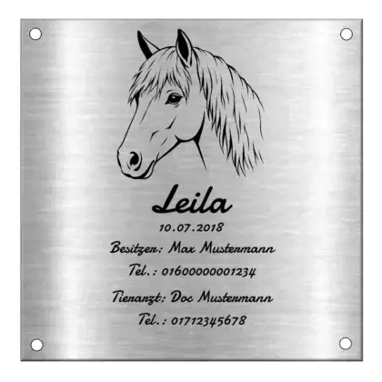 Boxenschild für Pferde aus Metall (Edelstahl) mit Gravur Maße: 250x250 mm mit 4 Bohrungen