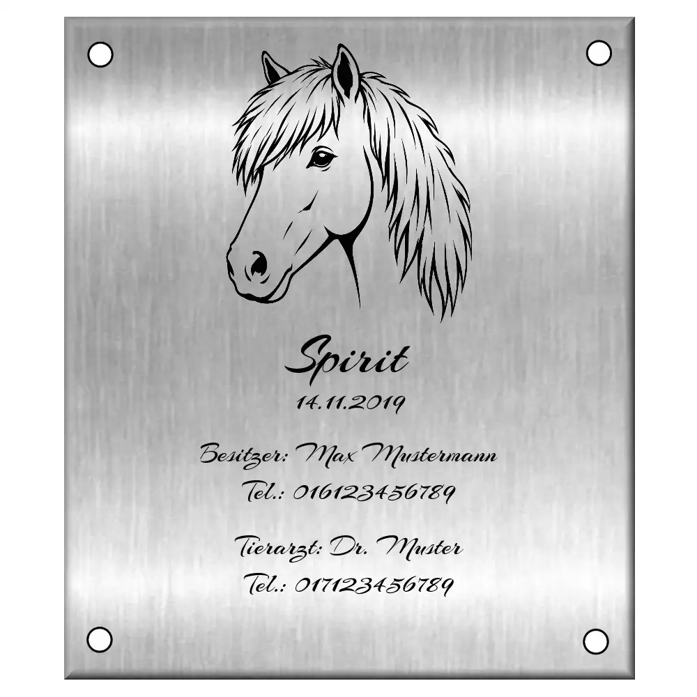 Boxenschild selber gestalten aus Edelstahl mit Laser-Gravur Maße: 125x145 mm mit 4 Bohrungen