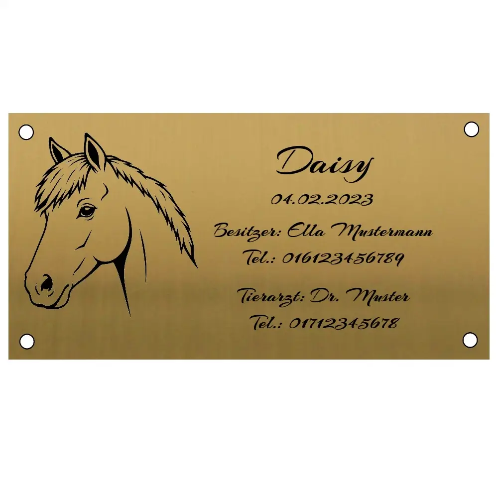 Edelstahl Boxenschild in Messingoptik mit Gravur Maße: 195x100 mm mit 4 Bohrungen