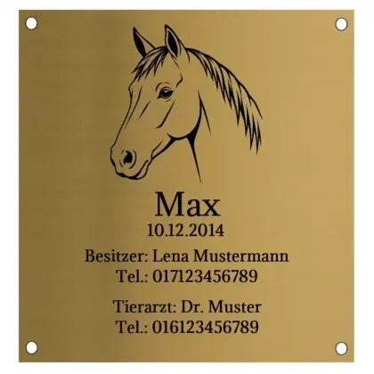 Pferde Boxen Schild aus Edelstahl in Messingoptik Maße: 100x105 mm mit 4 Bohrungen