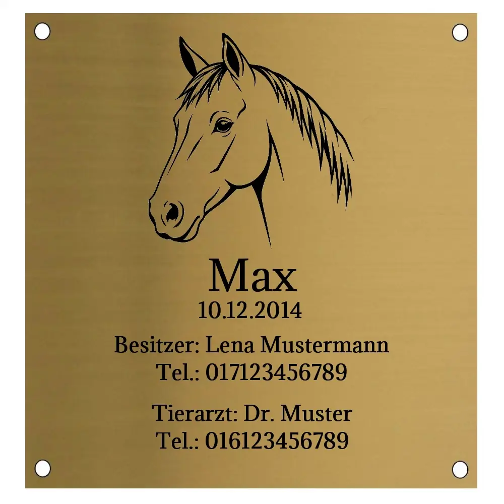 Pferde Boxen Schild aus Edelstahl in Messingoptik Maße: 100x105 mm mit 4 Bohrungen