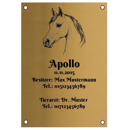 Pferde Schild aus Edelstahl in Messingoptik mit Gravur Maße: 100x145 mm mit 4 Bohrungen