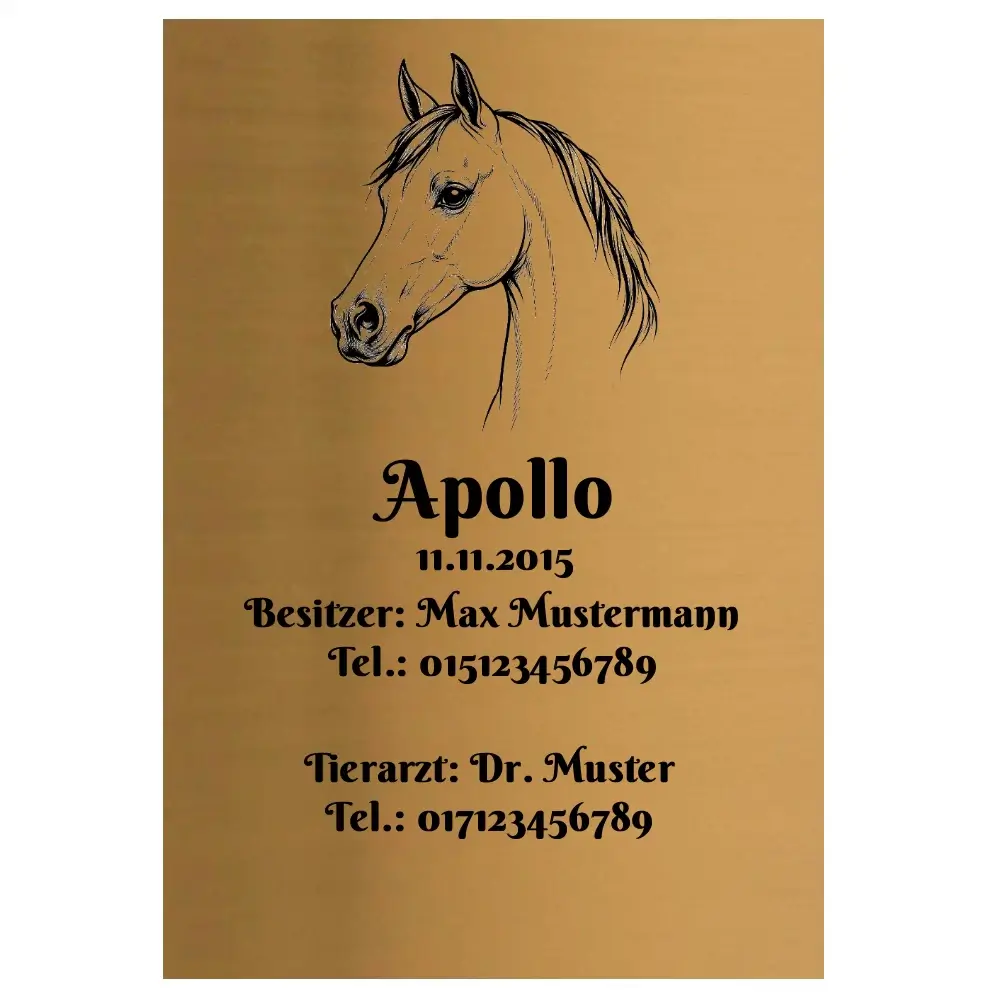 Pferde Schild aus Edelstahl in Messingoptik mit Gravur Maße: 100x145 mm