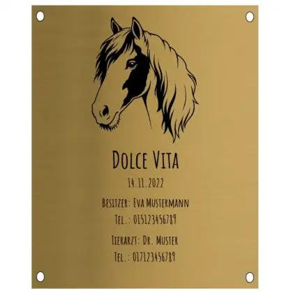 Pferdebox Schild aus Edelstahl in Messingoptik Maße: 100x125 mm mit 4 Bohrungen