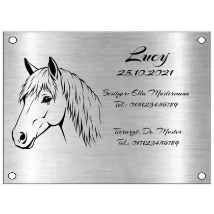 Boxenschild Design online selber gestalten Maße: 150x110 mm mit 4 Bohrungen