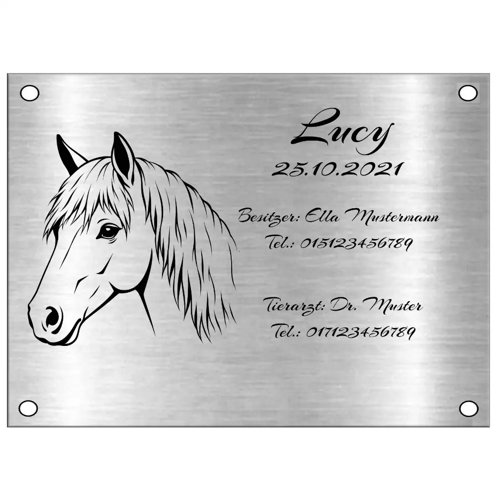 Boxenschild Design online selber gestalten Maße: 150x110 mm mit 4 Bohrungen