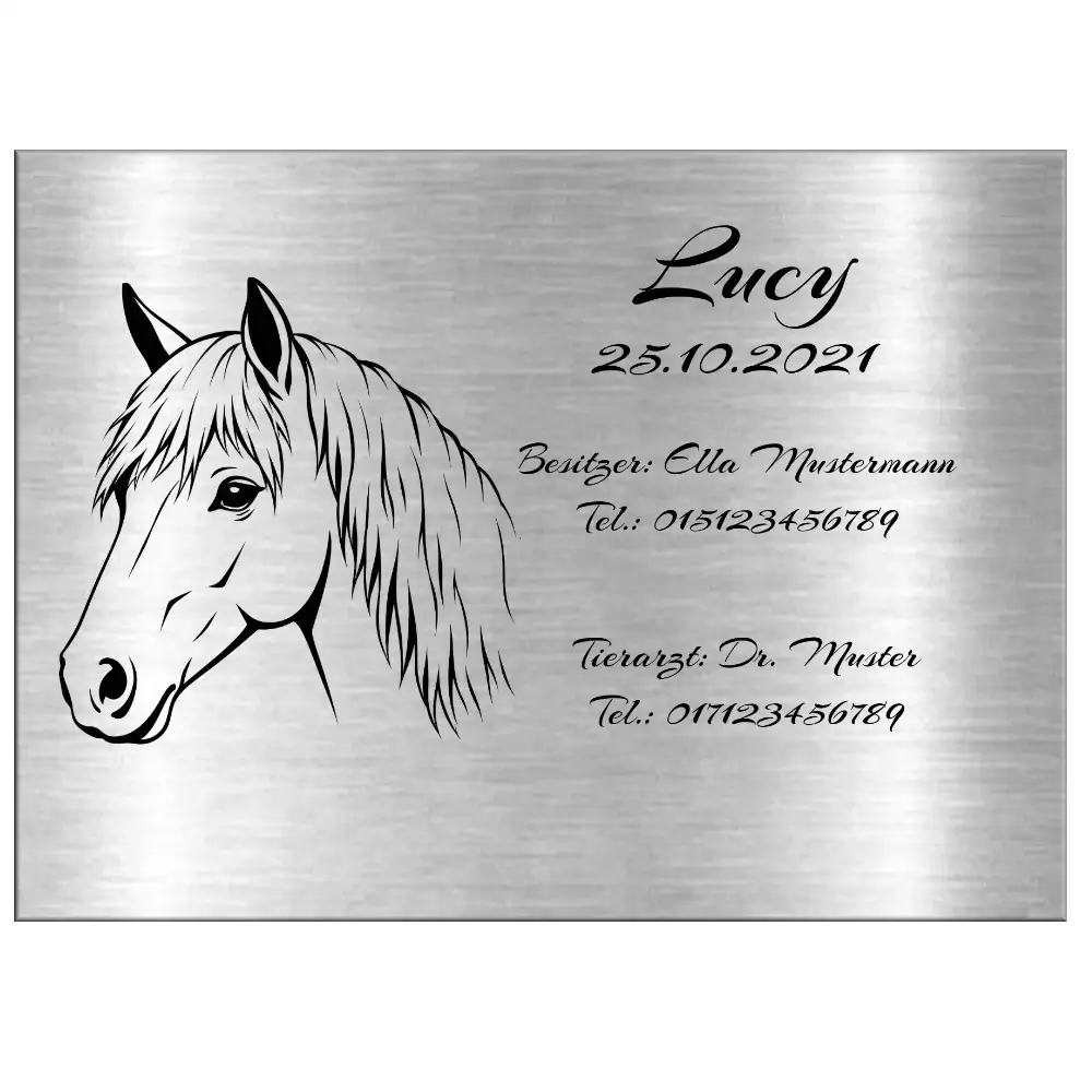 Boxenschild Design online selber gestalten Maße: 150x110 mm – Bild 2